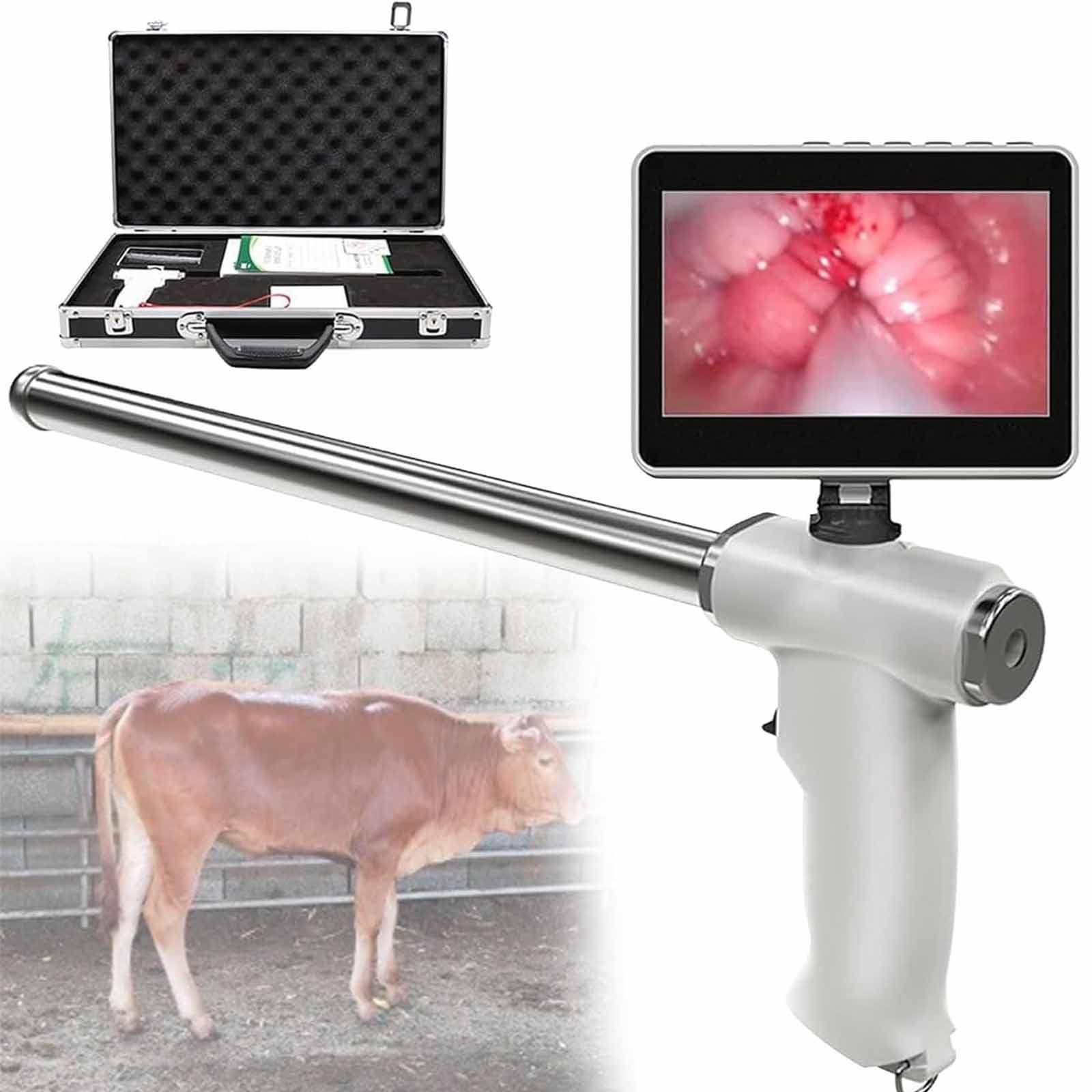 Cow Artificial Insemination Gun Cow Artificial Insemination Gun
