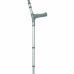 Walking Stick