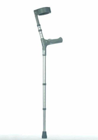 Walking Stick