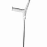 Walking Stick
