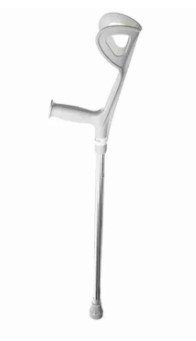 Walking Stick