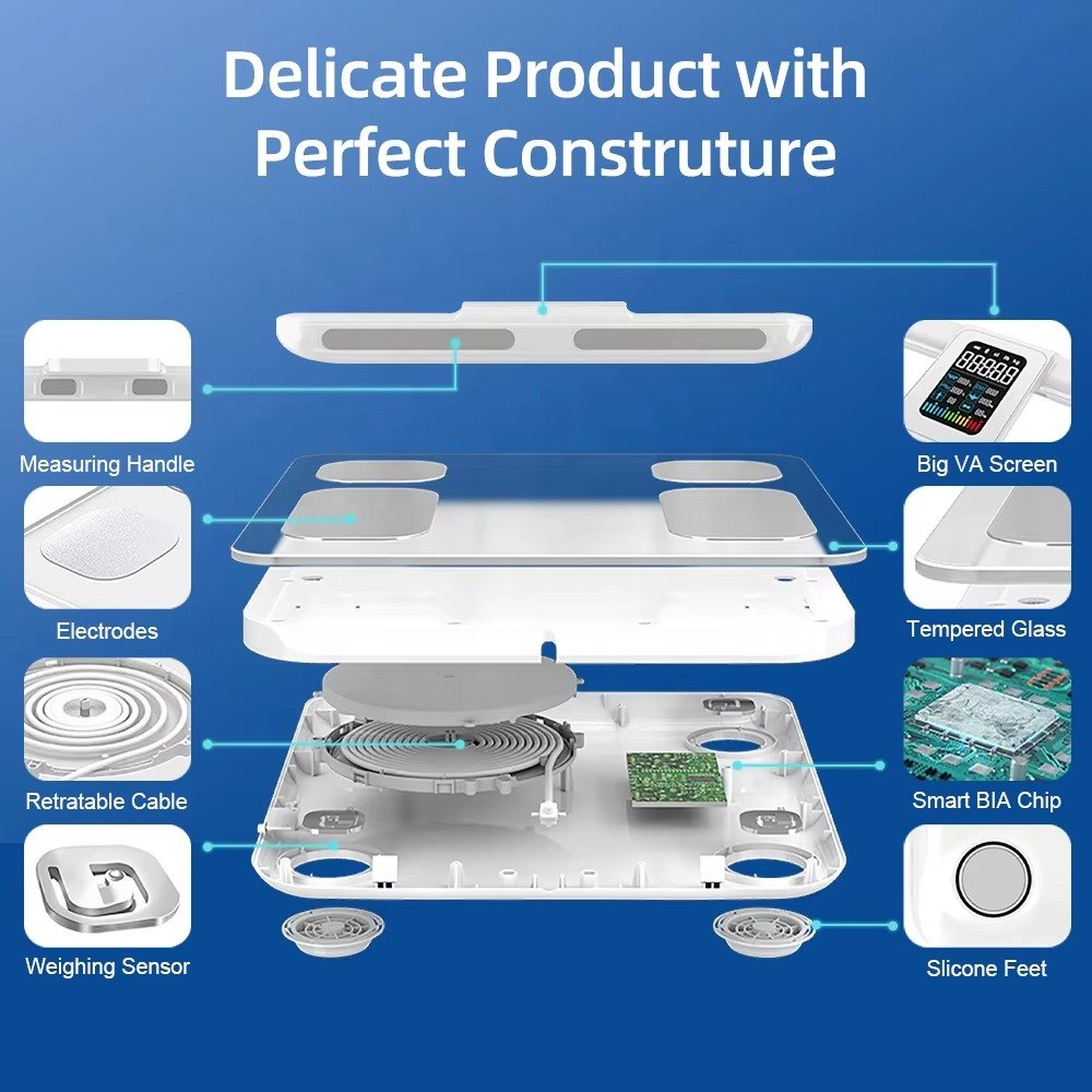 Body Fat Health Monitor