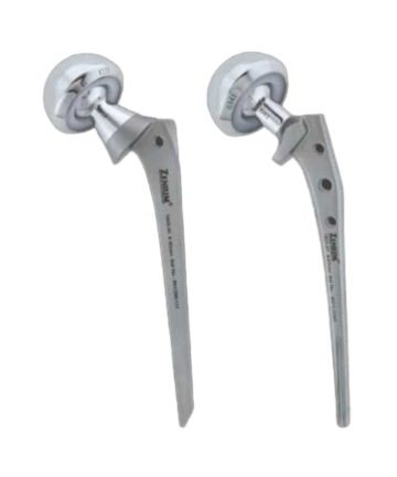 Bipolar Prosthesis RG Cemented