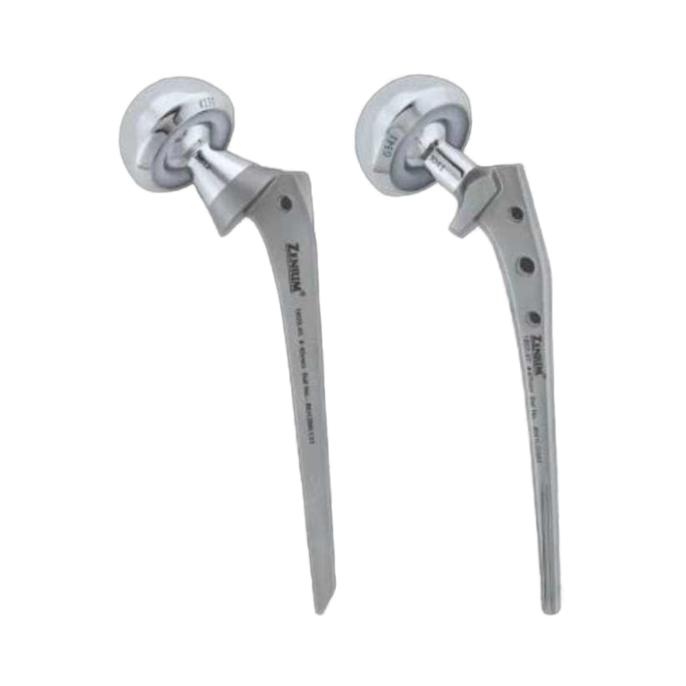 Bipolar Prosthesis RG Cemented